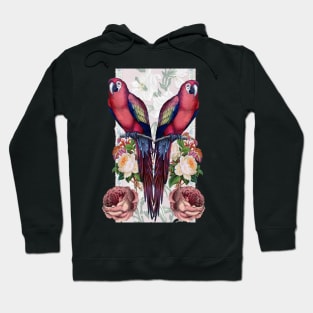 Parrot, tropical bird Hoodie